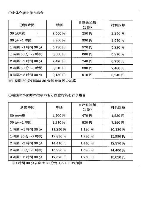 外出支援サービス